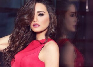 بفستان أحمر..إيميه صياح تتألق بإطلالتها الساحرة في حفل ملكة جمال لبنان 2022